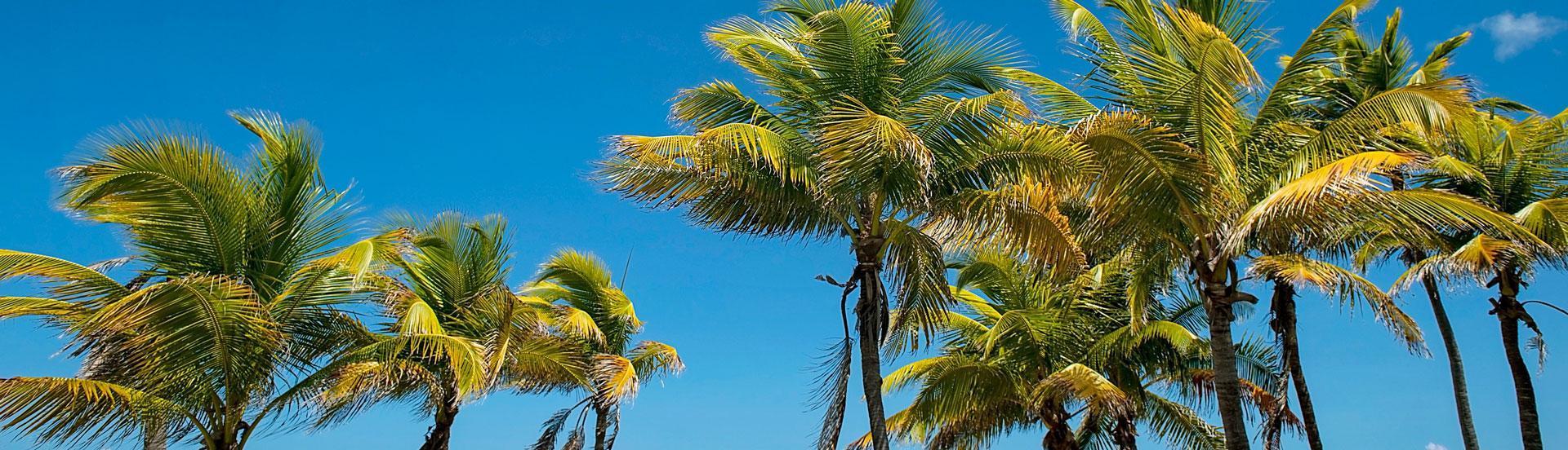 Your island home away from home...