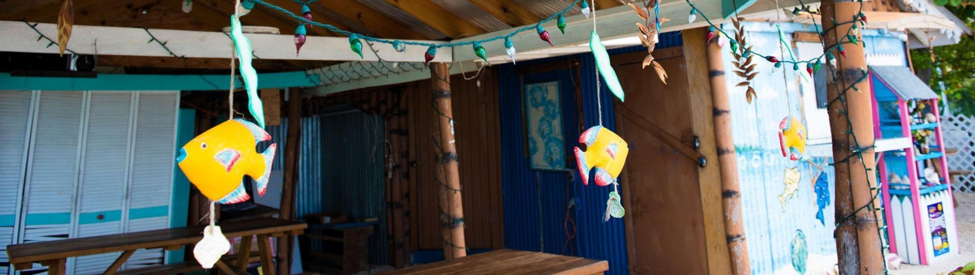 New Horizons in the West