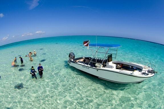 Dive Shops & Diving Operators