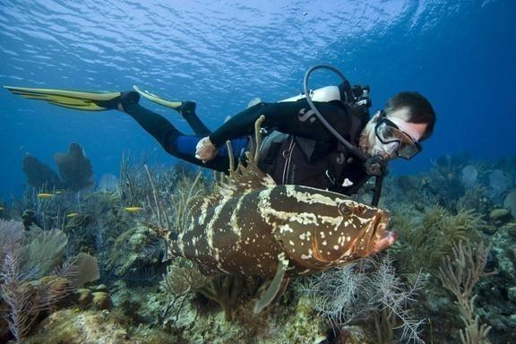 Overview of Cayman's Dive Sites
