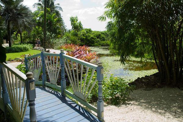 Driving & Walking Tours