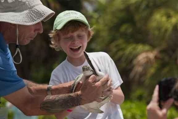 Top 10 Things to Do in West Bay 