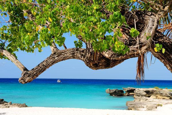 Climate and Best Time to Visit