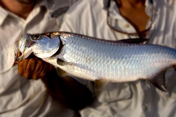 Fishing in the Sister Islands 