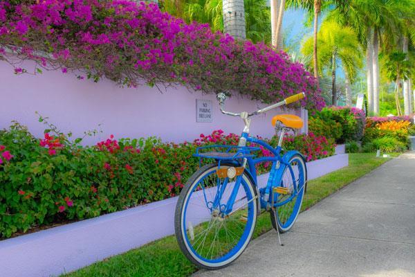 Renting a Bike or Scooter