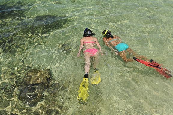 Snorkelling Tours