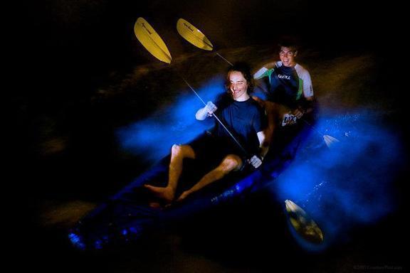 Bioluminescence Tours
