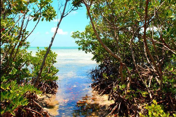 West Bay Driving Tour 