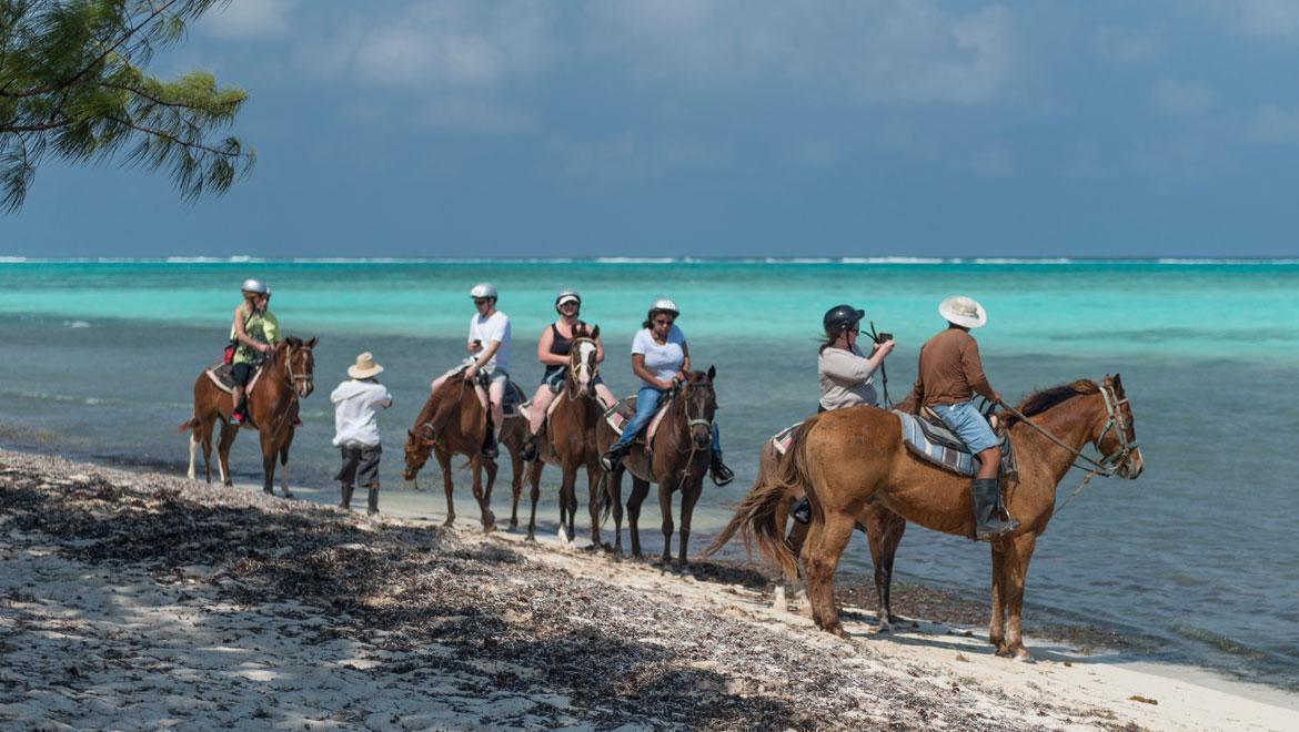 Top 10 Things to Do in West Bay