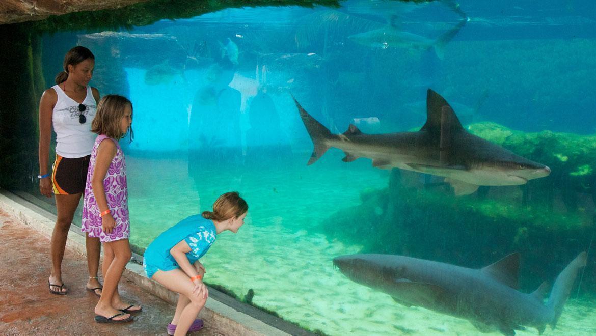 West Bay Driving Tour