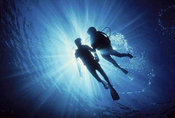 Cathy Church's Photography 