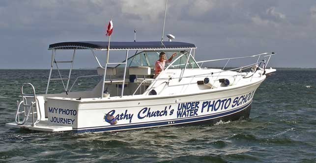 Cathy Church's Photography 