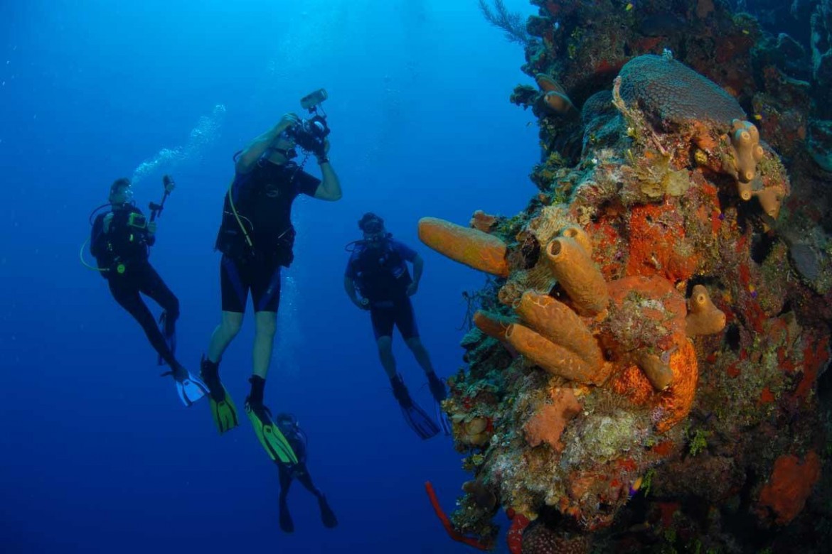 Spectacular wall dives 