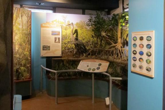 Learn about our environment