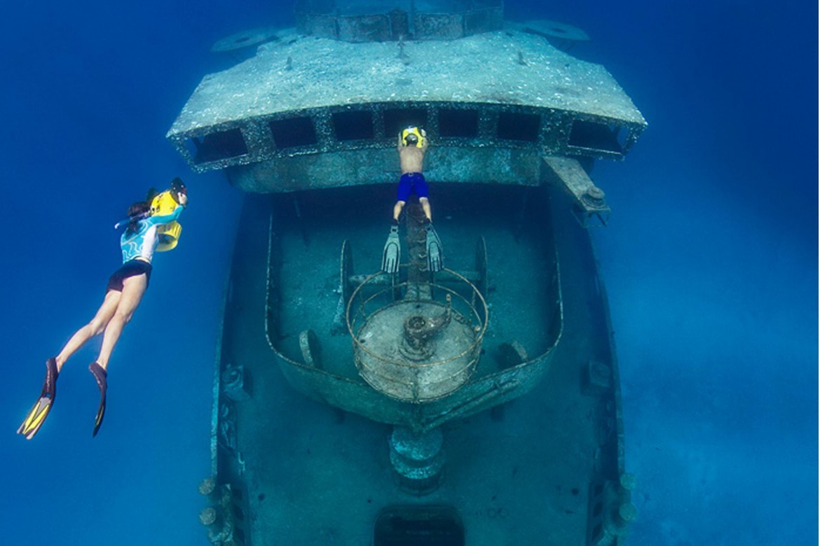 Ocean Frontiers Kittiwake 