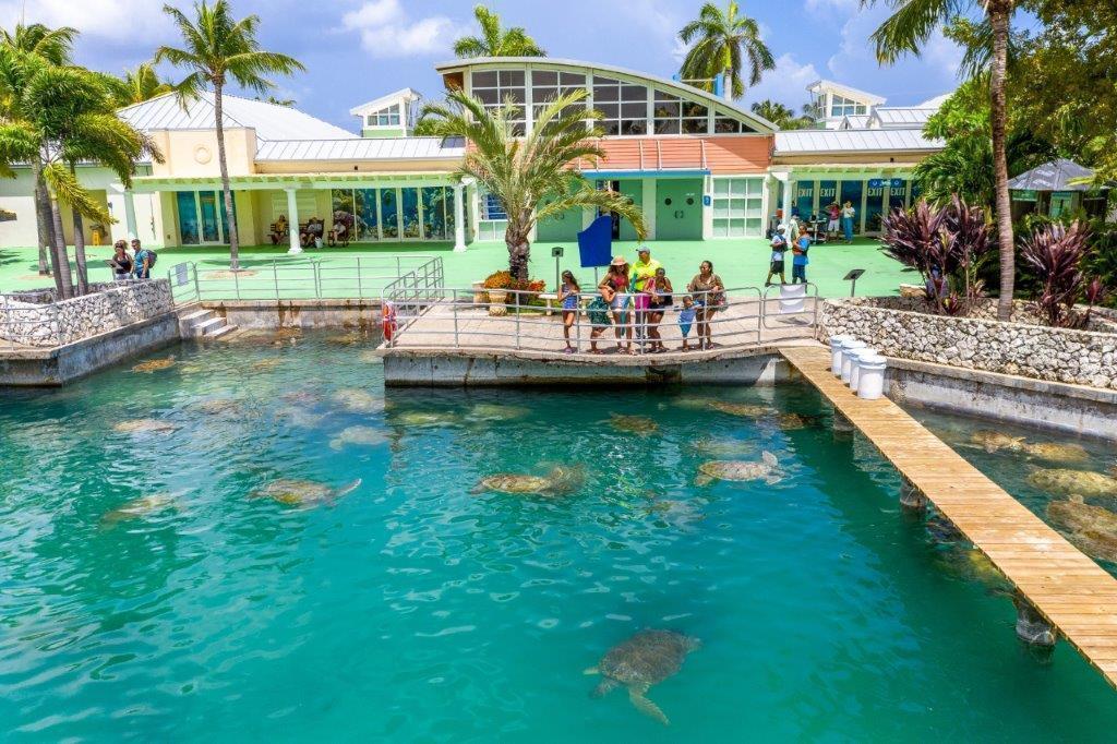 Cayman Turtle Centre