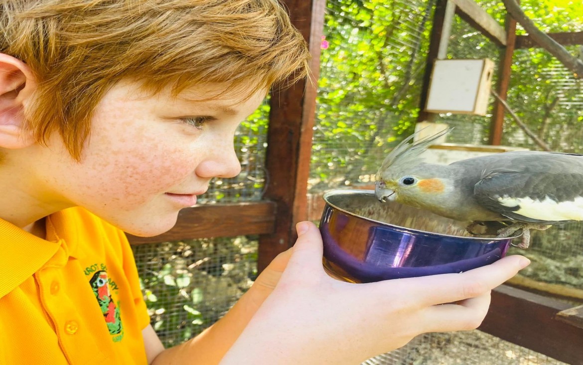 Cayman Parrot Sanctuary 