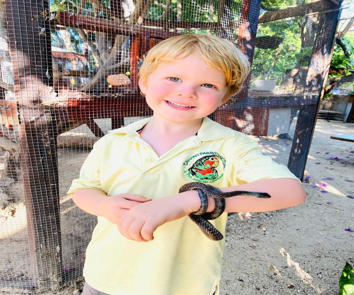 Cayman Parrot Sanctuary 