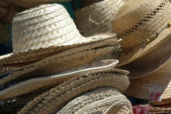 Customs and Formalities 