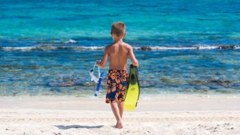 Best Places to Snorkel in the Cayman Islands 