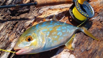 Fishing in Little Cayman and Cayman Brac 