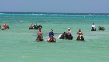 Horseback Riding in Cayman 