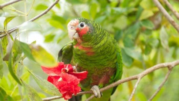 Top 8 Things to Do in West Bay 