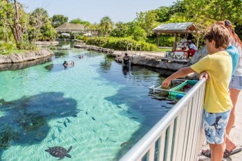 10% Discount on Full Park Admission at Cayman Turtle Centre