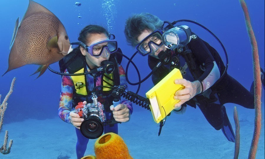 Cathy Church's Photography 